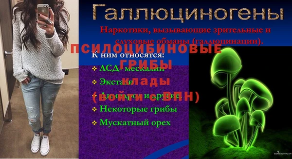 PSILOCYBIN Балахна