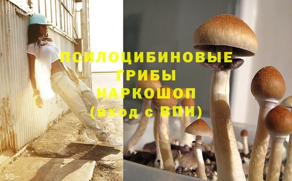 PSILOCYBIN Балахна