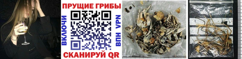 цена наркотик  Фурманов  Псилоцибиновые грибы MAGIC MUSHROOMS 